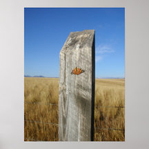 Butterfly Mountain Print