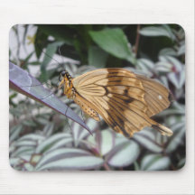 Butterfly mouse mat 0001