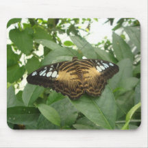Butterfly mouse mat 0002