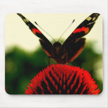 Butterfly - Mouse Pad