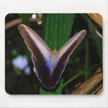 Butterfly Mouse pad