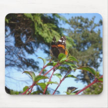 Butterfly Mouse pad