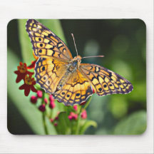 Butterfly mouse pad.