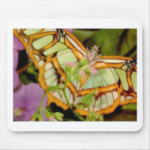 Butterfly Mousepads