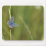 Butterfly Mouse Mats