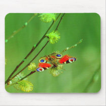 Butterfly Mouse Mats