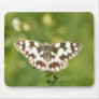 butterfly mouse pad