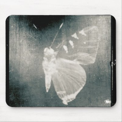 butterfly by gina1881996