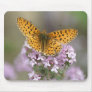 Butterfly Mouse Pad