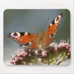 butterfly mouse pad