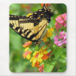 Butterfly Mouse Pads