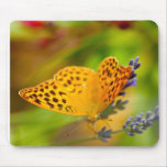 butterfly mouse pads