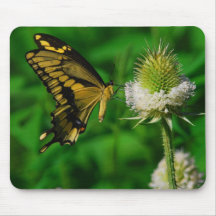 butterfly mousepad