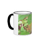 Butterfly Coffee Mugs