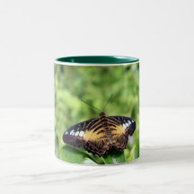 Butterfly Mug
