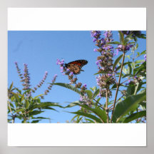 Butterfly NJ to NY Print