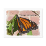Butterfly Of Transformation