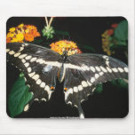 Butterfly on a flower mouse pads