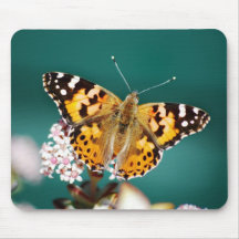 Butterfly on a wisp mousepad