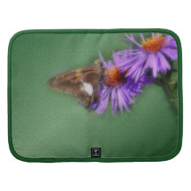 Butterfly On Aster Flower Nature Rickshaw Folio Folio Planner