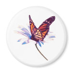 Butterfly On Daisy