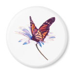 Butterfly On Daisy