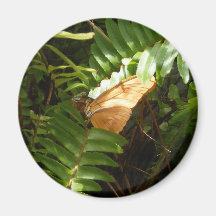 Butterfly on Fern Refrigerator Magnet