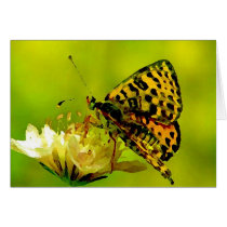 Butterfly on Flower Greeting Card