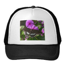 Butterfly on Flower Mesh Hats