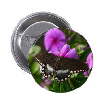 Butterfly on Flower Pins