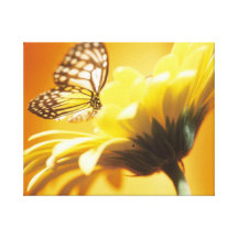 Butterfly on Flower Wrapped Canvas Art Canvas Prints