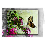 Butterfly on Flowers Note Card
