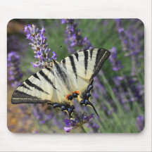 Butterfly on Lavender Mousepad