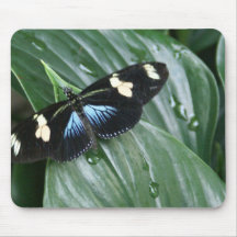Butterfly on Leaf Mouse Pad