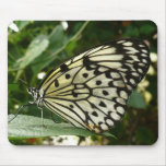 Butterfly on Leaf Mousepads