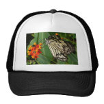 Butterfly on Orange Flower Hat