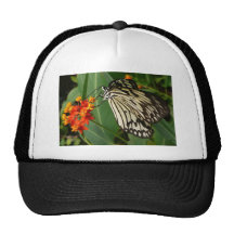 Butterfly on orange flower mesh hats