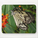 Butterfly on Orange Flower Mousemats