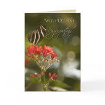 Butterfly on Royal Poinciana Sympathy Card