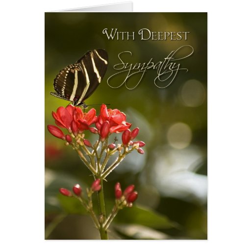 Butterfly on Royal Poinciana Sympathy Card