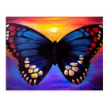 Butterfly Painting Art - Multi Post Cards
