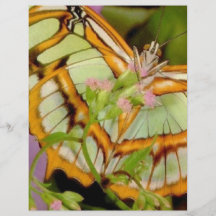 Butterfly Personalized Flyer