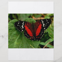 Butterfly Personalized Flyer