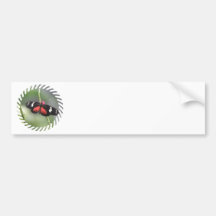 Butterfly Photo Design Bumper Sticker