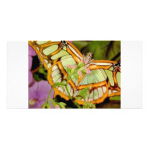 Butterfly Personalized Photo Card