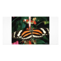 Butterfly Personalized Photo Card