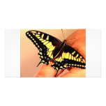 Butterfly Photo Card