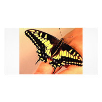 Butterfly Photo Card