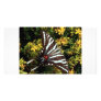 Butterfly Picture Card
