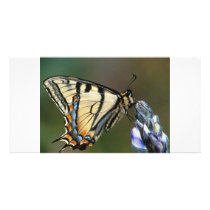 Butterfly Customized Photo Card